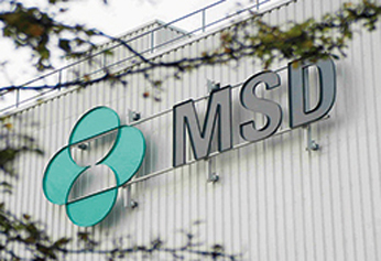 MSD